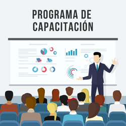 programa de capacitación sst